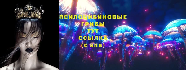 мдпв Осинники