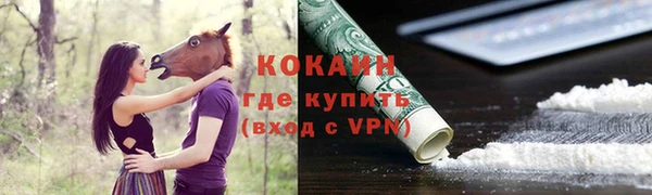 ПСИЛОЦИБИНОВЫЕ ГРИБЫ Осташков