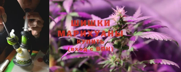 мдпв Осинники