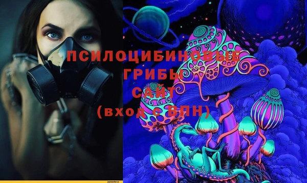 ПСИЛОЦИБИНОВЫЕ ГРИБЫ Осташков