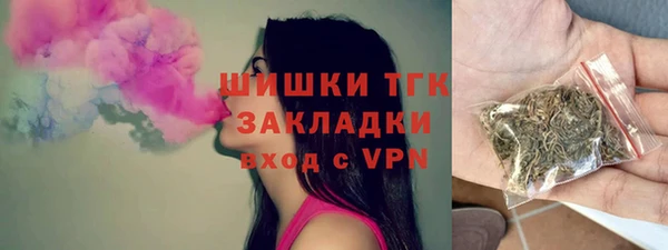 мдпв Осинники