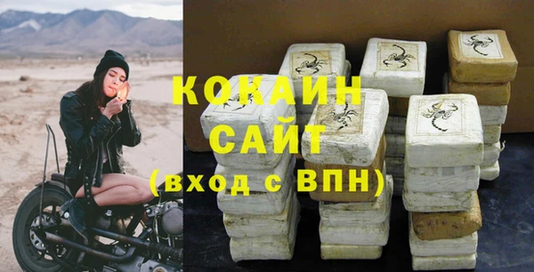 ПСИЛОЦИБИНОВЫЕ ГРИБЫ Осташков