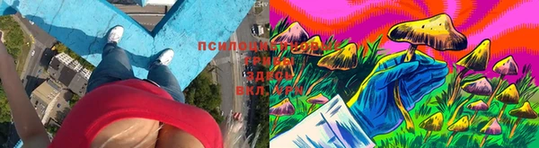 мдпв Осинники