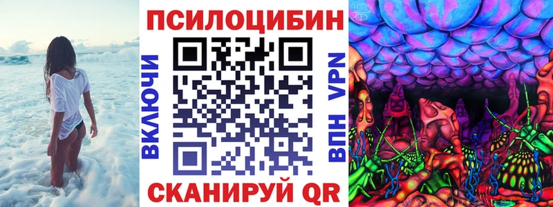 Псилоцибиновые грибы прущие грибы  Купить  Сенгилей 